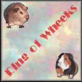 Join The Ring of Wheeks Webring